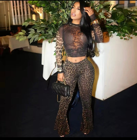 Leopard Mesh Set