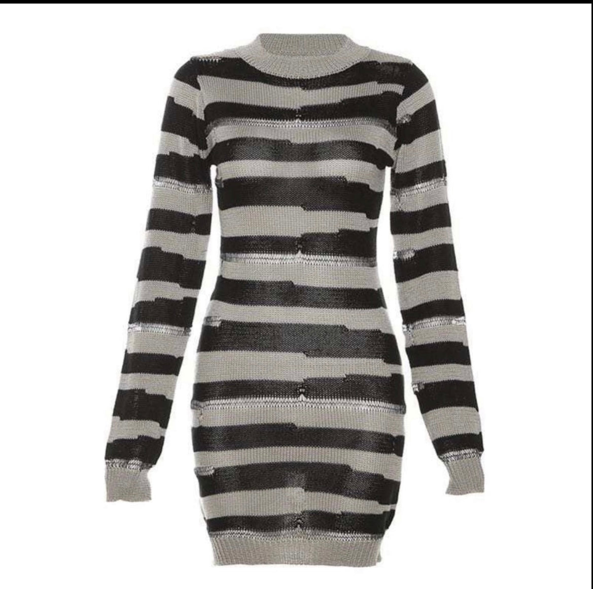 Zebra Sweater Dress